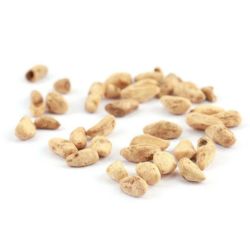 Fruit Seeds