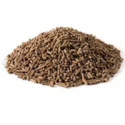 Bird Food