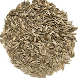 Vegetable Seeds