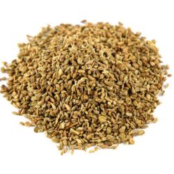 Seeds