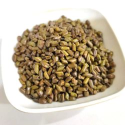 Grass Seeds